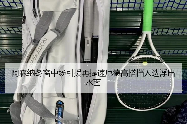 阿森纳冬窗中场引援再提速厄德高搭档人选浮出水面
